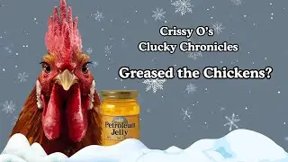Winter prep and Petroleum Jelly on your Chicken? #petroleumjelly #preventfrostbite, #winterweather