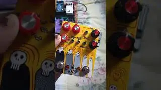 Pedal Tour (8/1/2021)