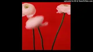 [free for profit] ambient + experimental type beat 