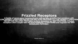 Medical vocabulary: What does Frizzled Receptors mean