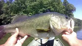 BASS FISHING#13 HIGH POINT CITY LAKE #HIGHPOINTNC #CITYLAKE #NORTHCAROLINA