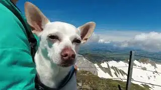 Exploring the Earth: Santis Peak, Switzerland