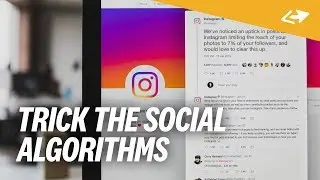 How To Beat Social Media ALGORITHMS [2019 Update]