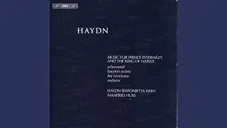 Concerto for 2 Lire organizzate in F Major, Hob. VIIh:4: I. Allegro