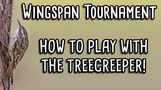 Wingspan Tournament | Treecreeper Exhibition! | Caatinga Cacholote Carnage Cup | de Visme v Tayray