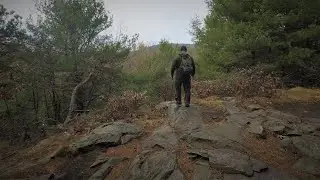 Short Pre-Thanksgiving Hike
