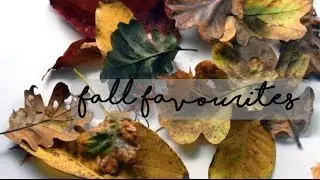 fall favourites | things i'm loving lately