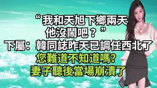 “我和天旭下鄉兩天，他沒鬧吧？”下屬：韓同誌昨天已經調任西北了，您難道不知道嗎？妻子聽後當場崩潰了【三味時光】#激情故事#大彬情感#夢雅故事#小說#爽文
