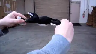 Slingshot Flying Cat