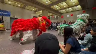 [MIT Lion Dance] Nightmarket 2023