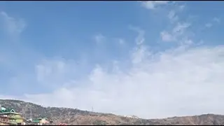 Moonshine's Garden  is live Shillai Himachal Pradesh