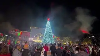 Skyline Church Christmas Tree Lighting | December 2023