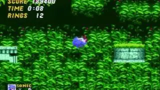 SLPB Sonic the Hedgehog Megarace [9] - Aquatic Ruin Zone