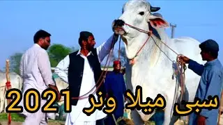 Sibi mela winner 2021 || Largest market in Aisa