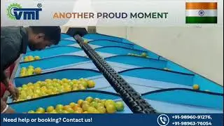 AI-Powered Fruit & Vegetable Sorting: Another Successful VMT Installation