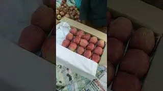 kashmiri apple packing