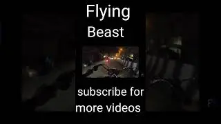 Attitude aa gaya flying beast facts Gaurav Taneja facts flying beast vlog #shorts #flyingbeast