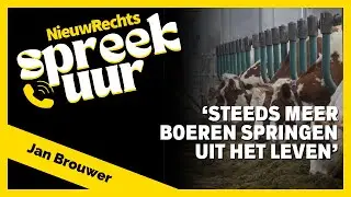 'Er is veel onwetendheid over de melkveehouderij', boer Jan doet zijn verhaal
