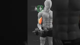 Is Frick se 2x Muscle Growth hogi 💪
