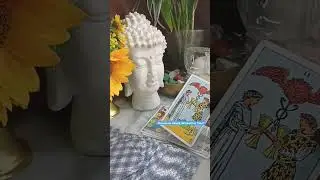 Me llamar&aacute; mi persona especial?☎️ #amor #tarot #mellamara #interactive #interactivo #tarotreading #f