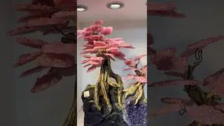 GemTree редкий