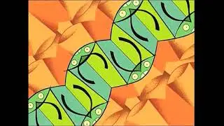 MLAATR Clip 3