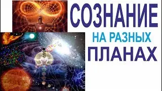Сознание на разных планах | Мыскин Дмитрий