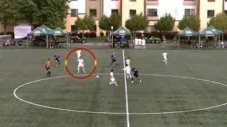 James Haynes Every Touch vs Westminster | NCAA DII Transfer