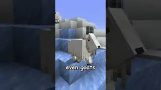 The Top 5 Rarest Minecraft Biomes in 1.21