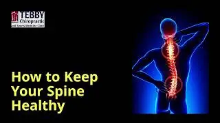 How to Keep Your Spine Healthy With Your Charlotte Chiropractor