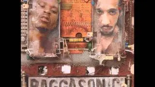 Raggasonic - En Quelques Mots