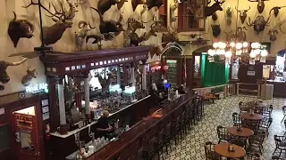 Buckhorn Saloon - Greatest Museum of All Time?