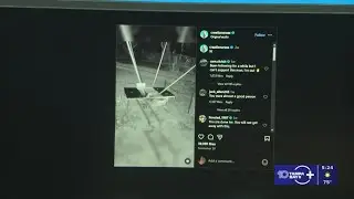 FWC investigating video of opossum being catapulted posted by Sarasota YouTuber