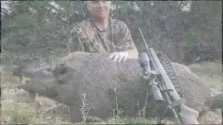 Hunt Wild Hogs at Rancho Mado&ntilde;o in the Texas Hill Country Near San Antonio