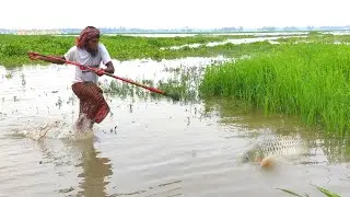 Best fish hunting video - Professional fish hunter catching fish in new method