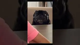 маленький ручной камаз 