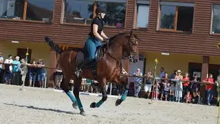 MČR Working Equitation 2020 trail - Gallardo Car