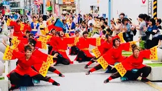 神戸学生よさこいチーム湊  「朱巽」  明青祭2018