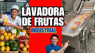 LAVADORA DE FRUTAS INDUSTRIAL PARA FRUTAS Y VERDURAS