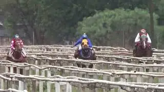 FINAL-GP FAM&Iacute;LIA CRUZ-550M-JUNPING ROYALITY