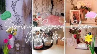 SPRING SPEED CLEAN WITH ME | Isobel Celine