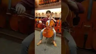 Cello Lessons Singapore, Cello Lesson For Adults, Cello Lesson Online, Stradivari Strings