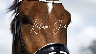 Horse Riding | Cinematic video | SONY