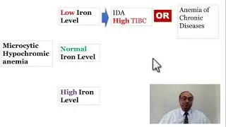 USMLE BLOOD (43) #cme #internal_medicine #doctor #usmle #medicalcollege #محاضرات_باطنة