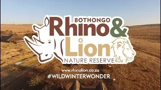 Safely Explore a #WildWinterWonder, Bothongo Rhino & Lion Nature Reserve - Adjusted Lockdown Level 4