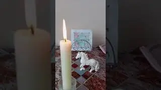 Фыыцым.