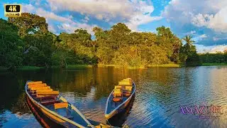 Amazon 4K - Nature&rsquo;s Grandeur Across the Amazon
