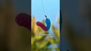 Can This Catch Fish? 🐟