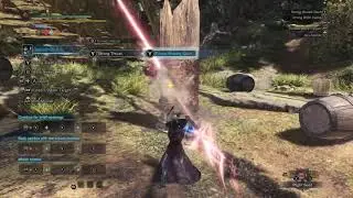 MHW True Gae Bolg Near Max DPS[outdated]