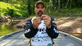 Ledgehead Slugger swimbait head